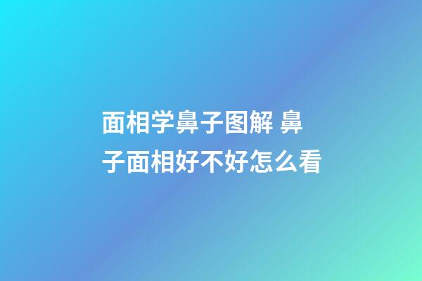 面相学鼻子图解 鼻子面相好不好怎么看